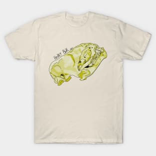 Hoary Bat Relic T-Shirt